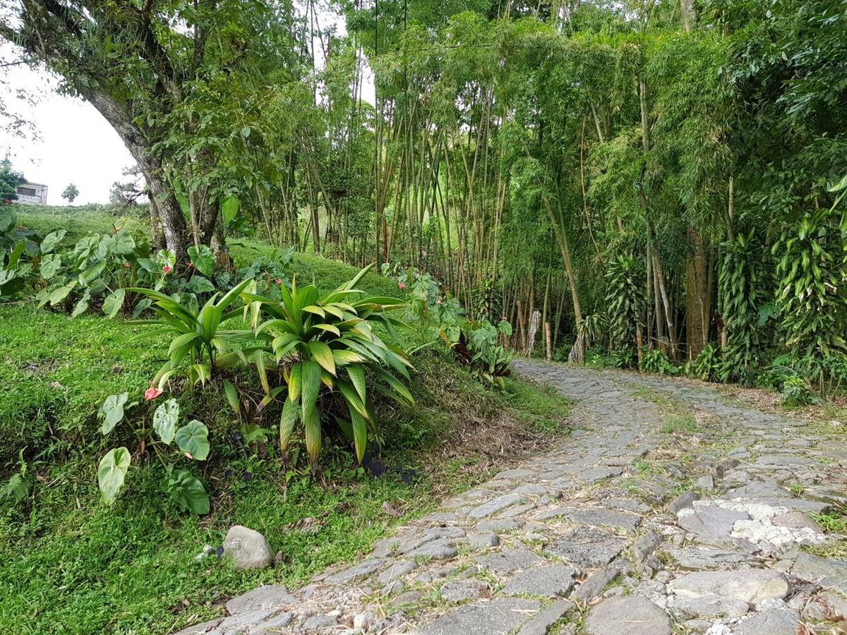 Lodge Paraiso Verde La Linda Eksteriør billede